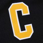 men8217s mitchell amp ness mario lemieux black pittsburgh penguins 199293 blue line player jersey – San Jose Sharks Jerseys and Headwear Collection